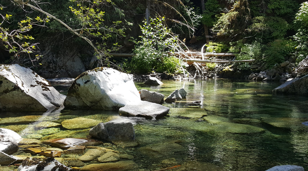 Flowing creek at the China Creek Campground