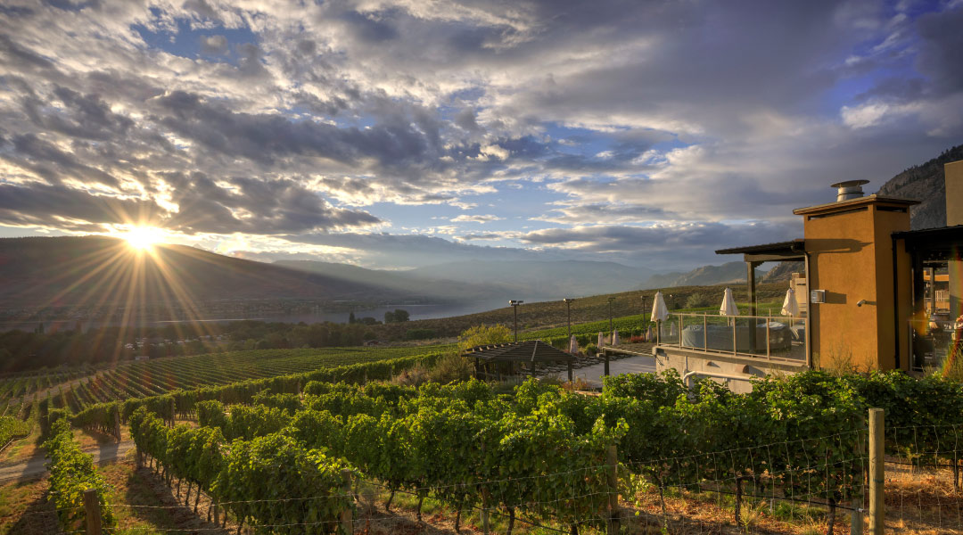 View of sunrise from Spirit Ridge in Osoyoos