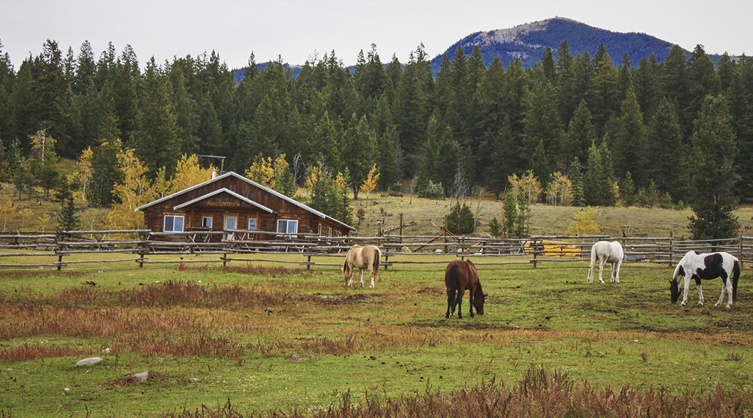 Horses outside the Coyote Lodge at Big Bar Guest Ranch