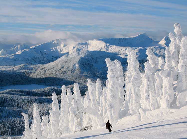 Mount Washington Mount Washington BC Ferries Vacations