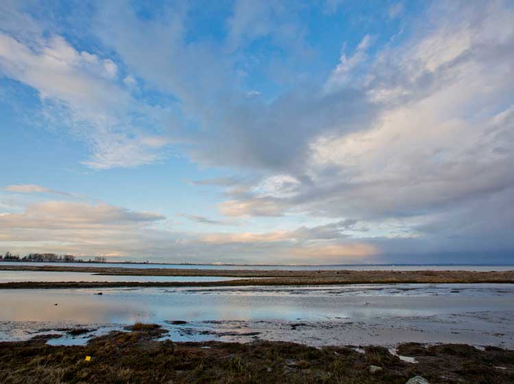 Tsawwassen Delta BC Ferries Vacations