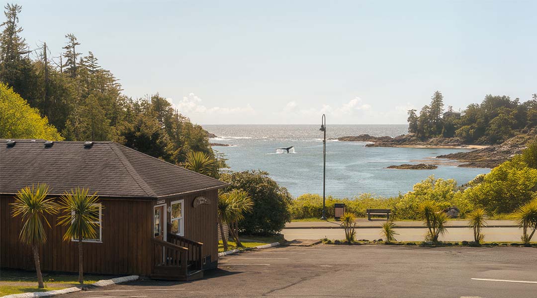 Exterior view of Little Beach Resort surrounded by coastal forest on Vancouver Island.