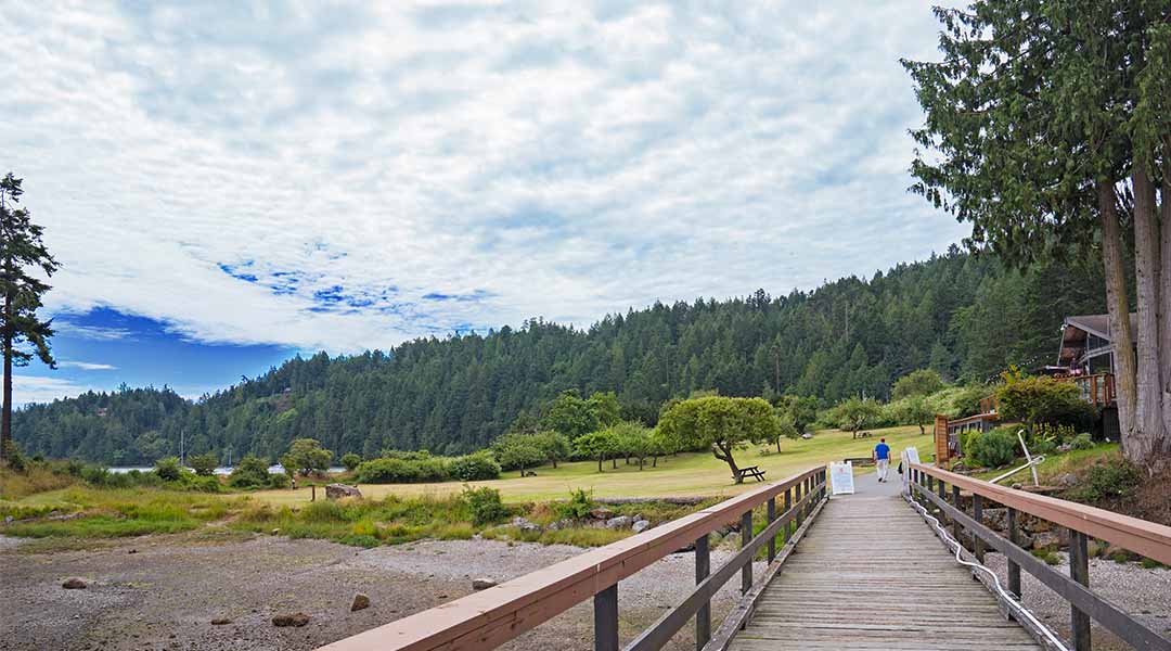 View of bridge and forest in distance