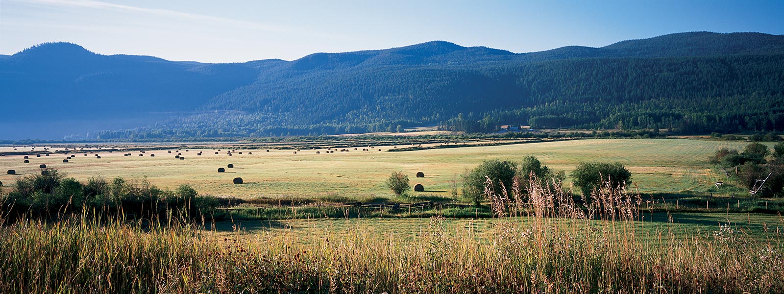 108 Mile Ranch 108 Mile Ranch BC Ferries Vacations