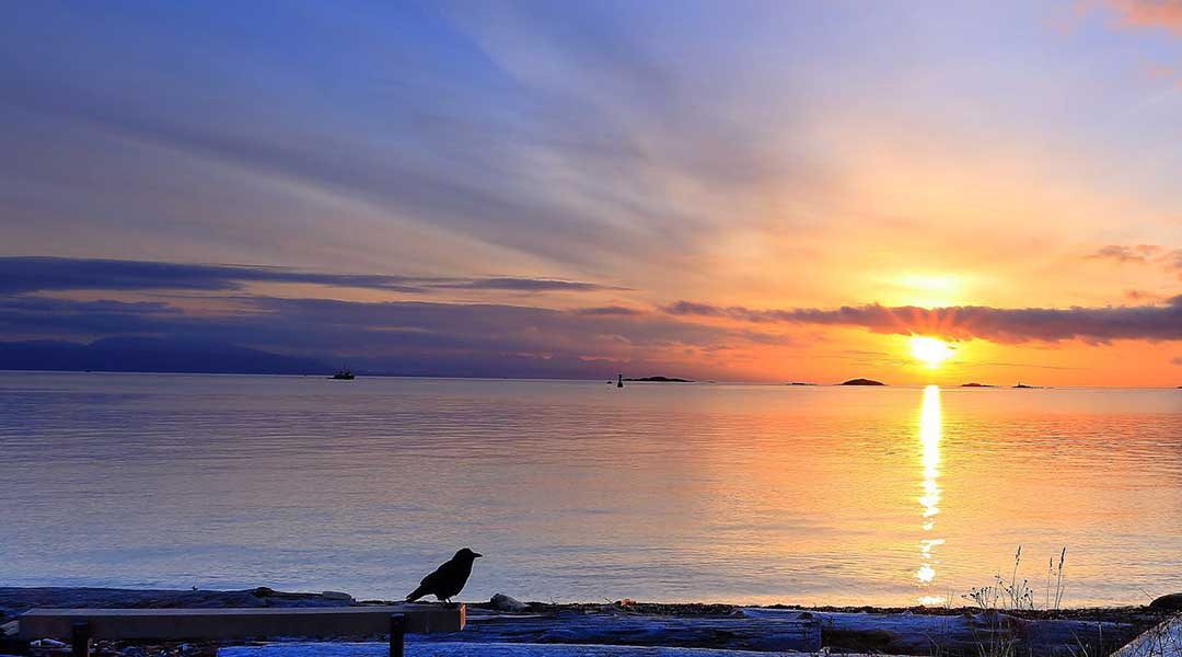 The view from the Glen Lyon Inn and Suites of sunset by the ocean with cotton candy skies in Port Hardy