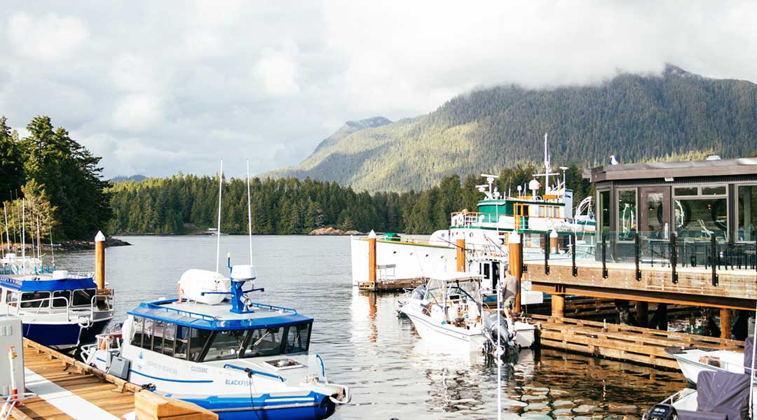 Marina with boats and dock at Tofino Resort and Marina on Vancouver Island