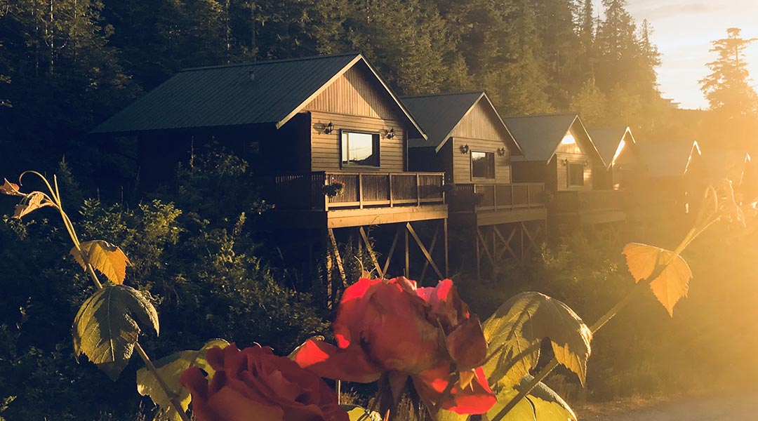 The exterior of a row of wooden cottages at Bear Cove Cottages in Port Hardy at sunset