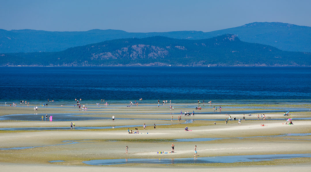 Person taking an afternoon walk by the ocean on a wooden boardwalk at The Beach Club Resort in Parksville